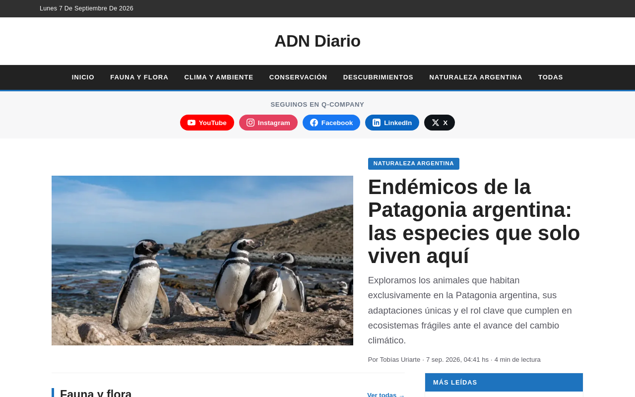 Sitio Web: Www